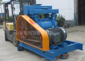 v法鑄造設(shè)備真空泵